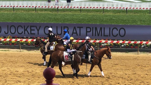 Pimlico Race Course by null