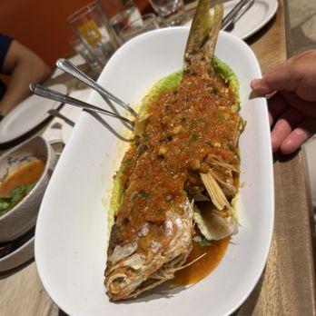 Ricky Thai Bistro - Fried snapper - Thai Near Me - North Miami, Florida Ricky Thai Bistro - Fried snapper - Thai Near Me - North Miami, Florida