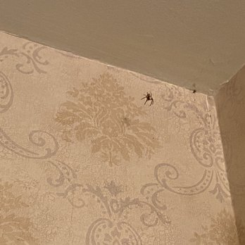 Moffat Inn - spider corner #2 - Hotels Near Me - Niagara-ON-the-Lake, Ontario Moffat Inn - spider corner #2 - Hotels Near Me - Niagara-ON-the-Lake, Ontario