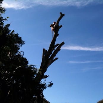 Whole 9 Yards Outdoor - Tree Services Near Me - St Augustine, Florida Whole 9 Yards Outdoor - Tree Services Near Me - St Augustine, Florida