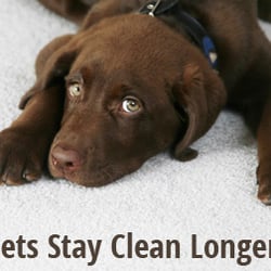 Heaven's Best Carpet Cleaning Klamath Falls OR