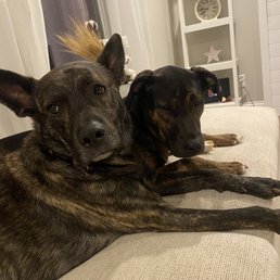 Ellie and Cady