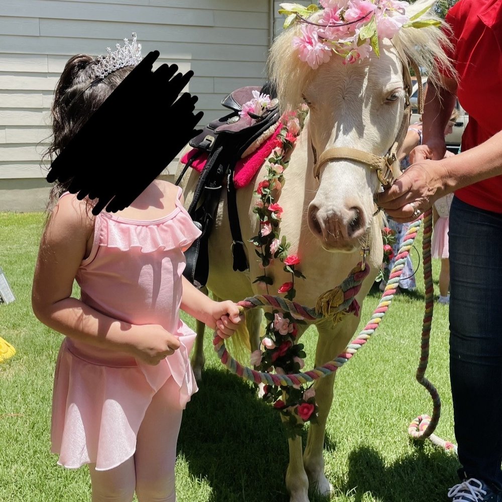 Melanie's Pony Parties - Bounce House Rentals Near Me - Temple, Texas Melanie's Pony Parties - Bounce House Rentals Near Me - Temple, Texas