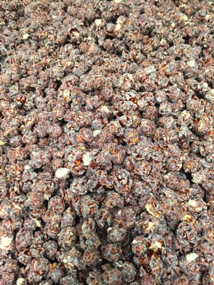 Austin Gourmet Popcorn by null