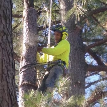Brown's Complete Tree Service - Tree Services Near Me - Fort Smith, Arkansas Brown's Complete Tree Service - Tree Services Near Me - Fort Smith, Arkansas