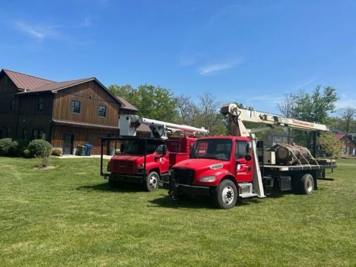 Tree Contractors - tree service in Prospect, KY