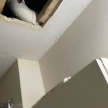 Springbrook Apartments At Northtown - hole in ceiling - Apartments Near Me - Minneapolis, Minnesota Springbrook Apartments At Northtown - hole in ceiling - Apartments Near Me - Minneapolis, Minnesota