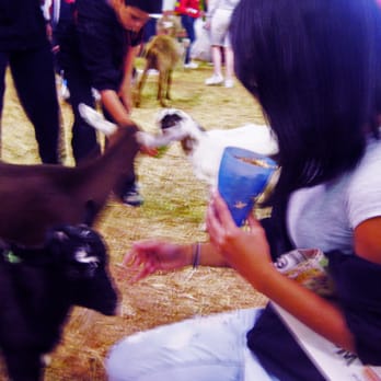 Royal Easter Show - Me feeding some baby goats! - Arts & Entertainment Near Me - Sydney Olympic Park, NSW