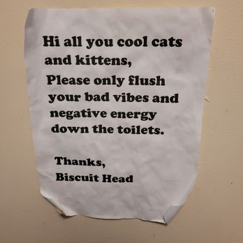 Biscuit Head - Cafes Near Me - Asheville, North Carolina Biscuit Head - Cafes Near Me - Asheville, North Carolina