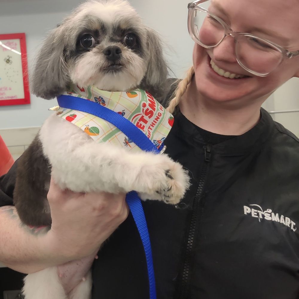 PetSmart - Mimi and Emily - Pet Stores Near Me - HEMET, California PetSmart - Mimi and Emily - Pet Stores Near Me - HEMET, California