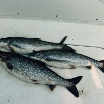 Kinns Sport Fishing - Tours Near Me - Algoma, Wisconsin Kinns Sport Fishing - Tours Near Me - Algoma, Wisconsin