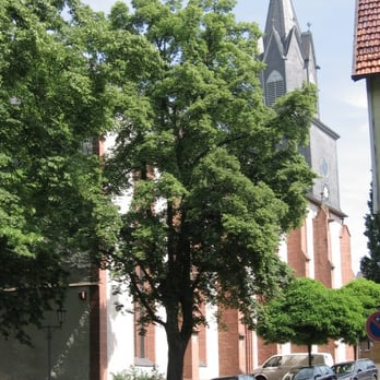 Stadtkirche Treysa - Stadtkirche Treysa - Religious Organizations Near Me - Schwalmstadt, HE