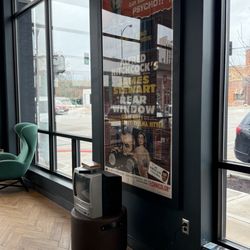 The Last Picture House