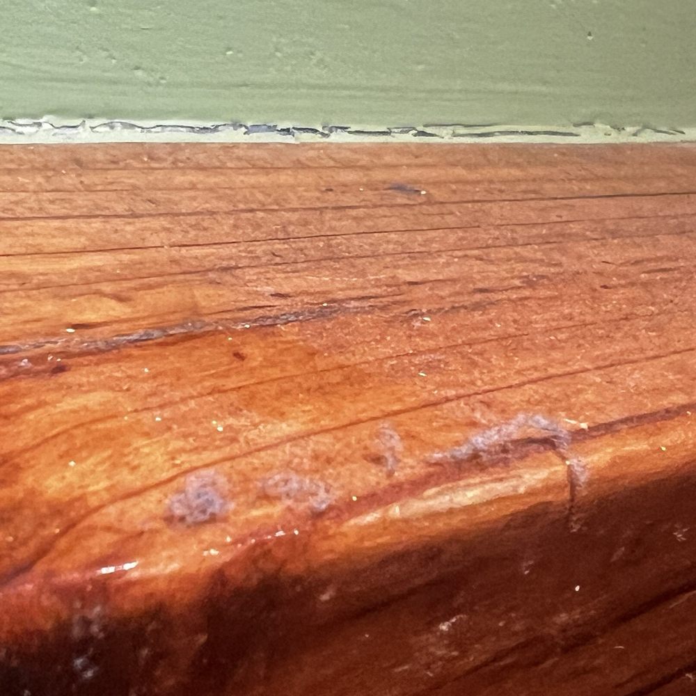 Outback Steakhouse - Thick dust on the ledge by my head where I was eating. - Steakhouses Near Me - Overland Park, Kansas Outback Steakhouse - Thick dust on the ledge by my head where I was eating. - Steakhouses Near Me - Overland Park, Kansas