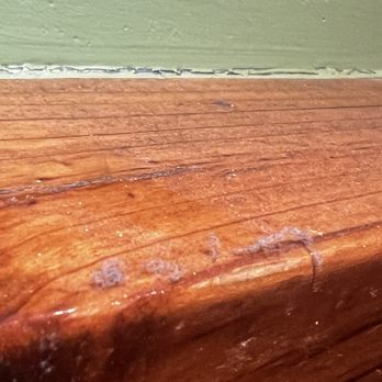 Outback Steakhouse - Thick dust on the ledge by my head where I was eating. - Steakhouses Near Me - Overland Park, Kansas Outback Steakhouse - Thick dust on the ledge by my head where I was eating. - Steakhouses Near Me - Overland Park, Kansas