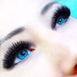 TB Lashes Brows Beauty - Mega volume!