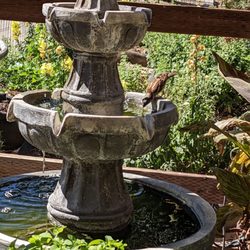 The Bistro Queen Creek - Birds are out today!