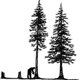 Slide of Nature Tamers of North Carolina