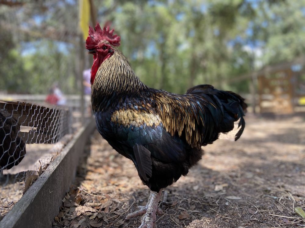 BRANCHTON FARMS Updated October 2024 24 Photos & 21 Reviews 15320