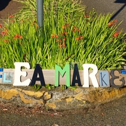Wednesdays in Willamette Summer Street Market