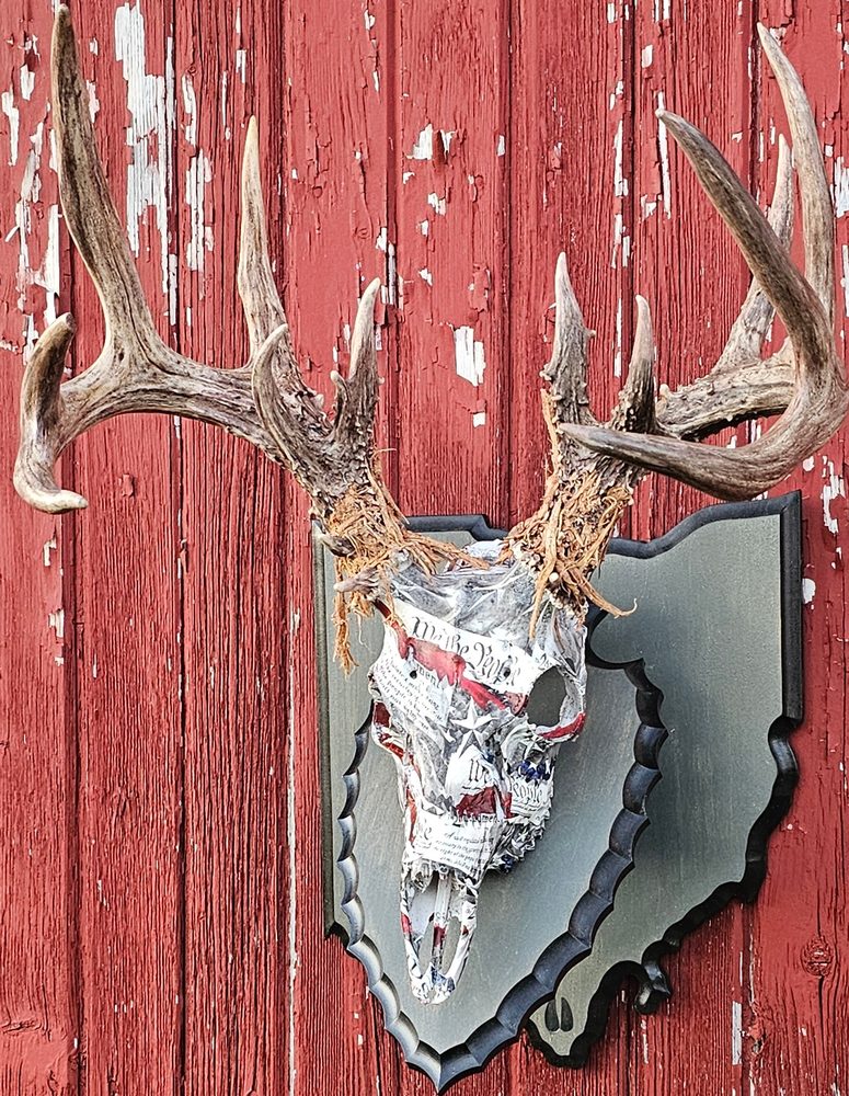 Baisdens Taxidermy - taxidermy in Sullivan, OH