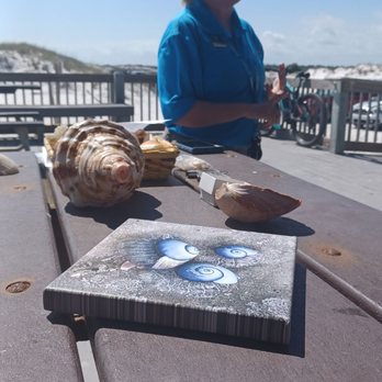 Fort Pickens Beach - Ranger presentation on local seashells - Beaches Near Me - Pensacola Beach, Florida