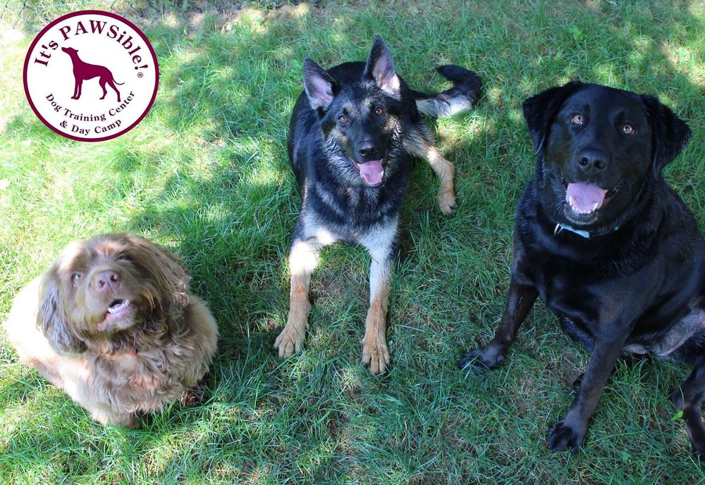 It's Pawsible Dog Training Center Image