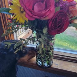 Moms flowers