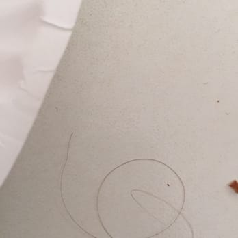 Bernillo's Pizzeria  - Hair from pizza. Fail.... - Pizza Near Me - Fort Bragg, California