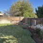 Photo of Vargas Tree Services and Maintenance