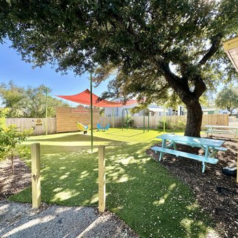 JuiceLand - Huge backyard playground with picnic tables, shade tree, swing-set, and other fun obstacles for kids to climb and take photos. - Juice Bars & Smoothies Near Me - Austin, Texas JuiceLand - Huge backyard playground with picnic tables, shade tree, swing-set, and other fun obstacles for kids to climb and take photos. - Juice Bars & Smoothies Near Me - Austin, Texas