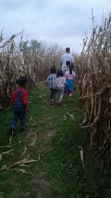 Coleman's Farm - Saline by null