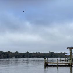 Georgetown Marina Lodge & R V Park