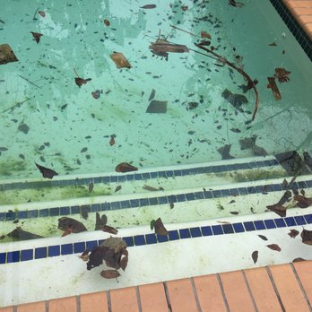 Top Notch Pool Service - Leaves algae - Pool Cleaners Near Me - Spring, Texas Top Notch Pool Service - Leaves algae - Pool Cleaners Near Me - Spring, Texas