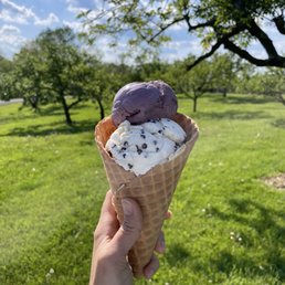 a hand holding an ice cream cone a hand holding an ice cream cone