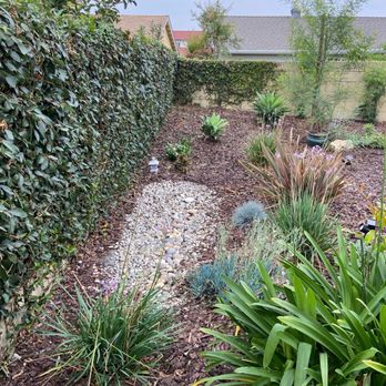 Green Control Landscape & Tree Service - Did a nice job trimming the wall bush - Landscaping Near Me Green Control Landscape & Tree Service - Did a nice job trimming the wall bush - Landscaping Near Me