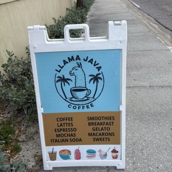 Llama Java Coffee - Trying the mud(coffee) - Cafes Near Me - Madeira Beach, Florida
