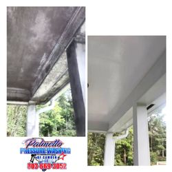 Palmetto Pressure Washing of Camden - Soft Washing Specialist