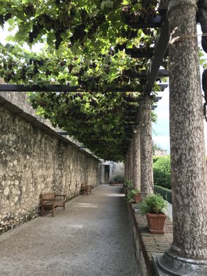 Museo Castello del Buonconsiglio by null