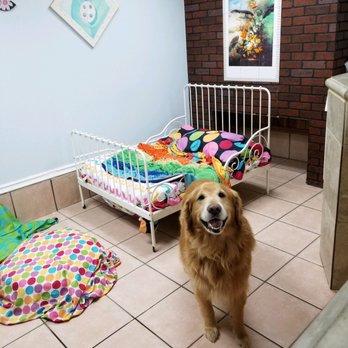 Shanderin Kennels - Hi, mom! I'm doing great! - Pet Groomers Near Me - Rowland Heights, California Shanderin Kennels - Hi, mom! I'm doing great! - Pet Groomers Near Me - Rowland Heights, California