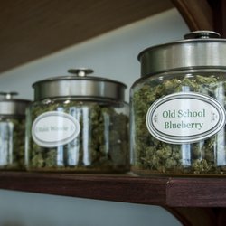 Uplift Botanicals