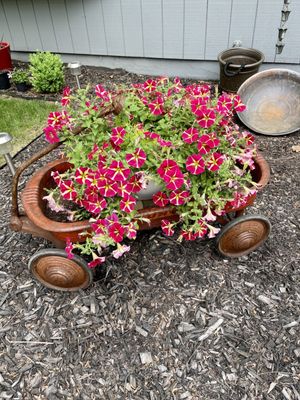 Oakland County Farmer's Market by null
