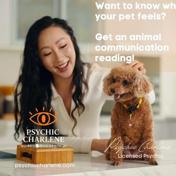 Psychic Eye Charlene - Pet Psychic, Animal Communication, Tarot Card. Mediumship - Psychics Near Me - Henderson, Nevada Psychic Eye Charlene - Pet Psychic, Animal Communication, Tarot Card. Mediumship - Psychics Near Me - Henderson, Nevada