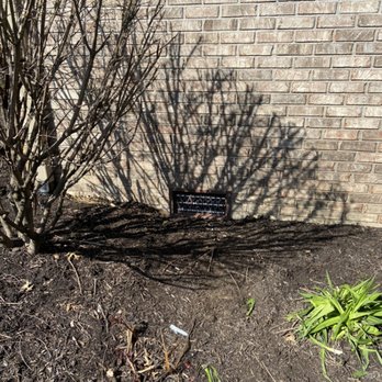 1. Anderson Termite and Pest Solutions