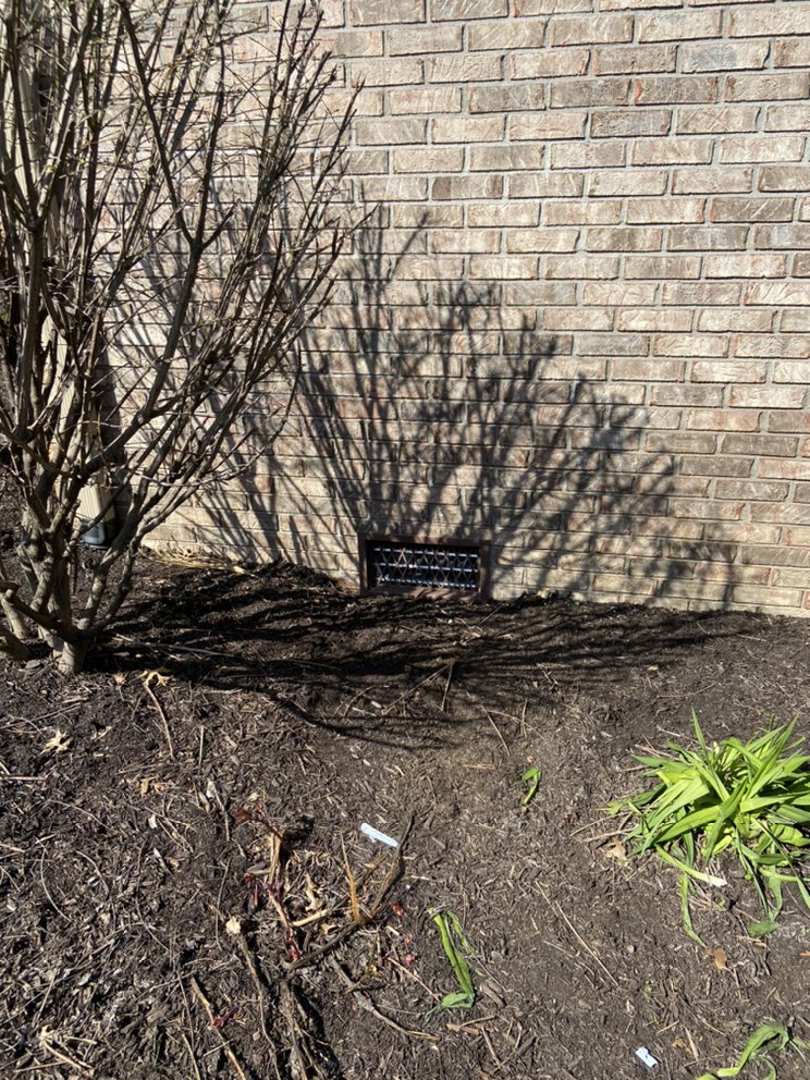 Anderson Termite and Pest Solutions - veterans service organization in Greenwood, IN