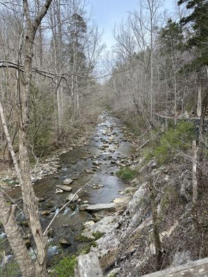 Natural Bridge State Park by null