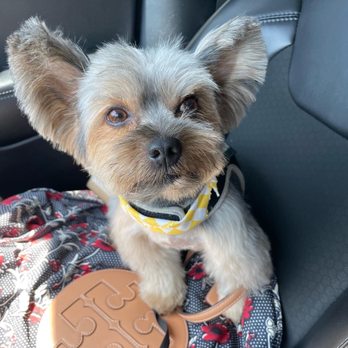 Barks & Bones Boutique - Pet Groomers Near Me - Rancho Cucamonga, California Barks & Bones Boutique - Pet Groomers Near Me - Rancho Cucamonga, California
