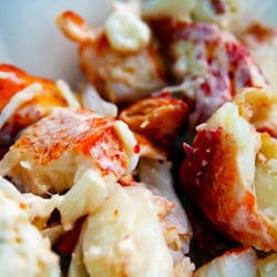 James Hook & Co - Lobster meat by the lb.