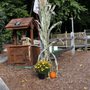 Olde Sawmill Miniature Golf