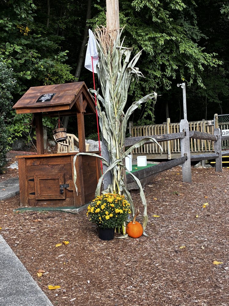 Olde Sawmill Miniature Golf Logo